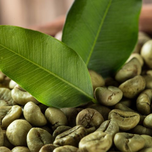 banner-2021-04-08T203947.784