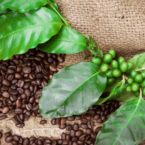 coffee-grains-leaves-wood-background
