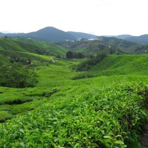 d4017f0d-9e54-4977-a583-589c6c9bfa90