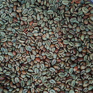 Indonesia-Coffee-Bean